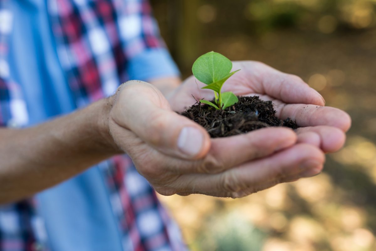 man_holding_plant